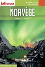 NORVÈGE 2017 Carnet Petit Futé