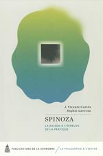 Spinoza