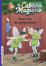 La cabane magique, Tome 20