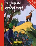 Sur la piste du grand cerf