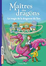 Maîtres des dragons, Tome 16