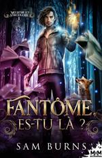 Fantôme, es-tu là ?