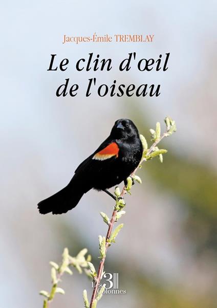 Le clin d'oeil de l'oiseau