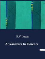 A Wanderer In Florence