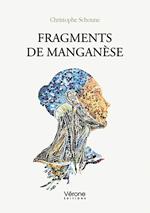 Fragments de manganèse