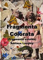 Fragmenta colorata