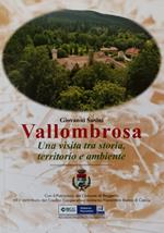 Vallombrosa. Una visita tra storia, territorio e ambiente