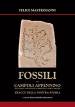 Fossili di Campoli Appennino. Nel parco Nazionale Abruzzo, Lazio e Molise tracce della nostra storia