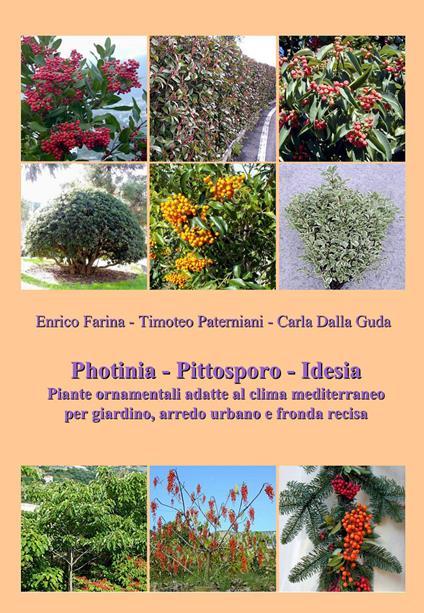 Photinia. Pittosporo. Idesia. Piante ornamentali adatte al clima mediterraneo - Enrico Farina - copertina