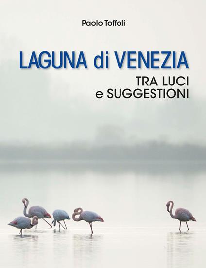 Friuli Venezia Giulia come aquila in volo. Ediz. illustrata - Davide Macor,Fabio Pappalettera - copertina