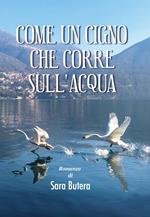 Come un cigno che corre sull'acqua