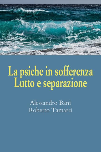 La psiche in sofferenza. Lutto e separazione - Alessandro Bani,Roberto Tamarri - copertina