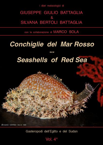 Conchiglie del Mar Rosso-Red Sea's seashelles. Ediz. bilingue - Giuseppe Giulio Battaglia,Silvana Bertoli Battaglia - copertina