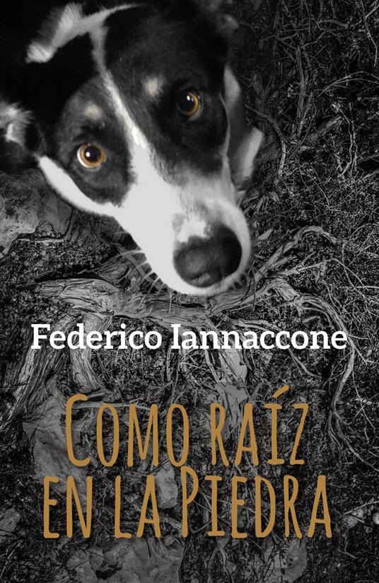 Como raíz en la piedra - Federico Iannaccone - copertina