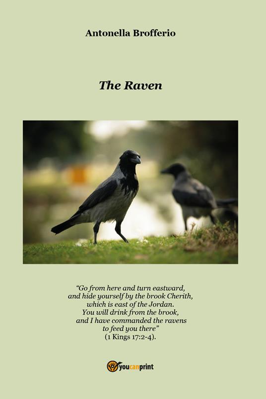 The raven - Antonella Brofferio - copertina