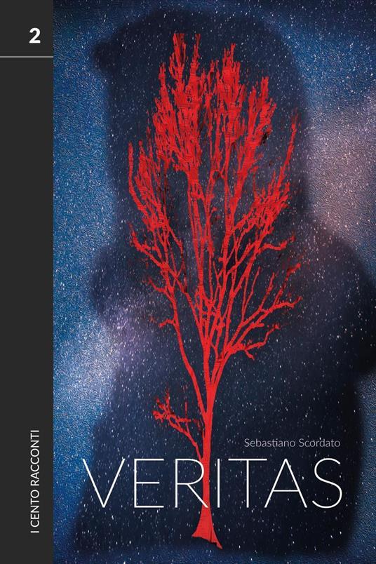 I cento racconti. Vol. 2: Veritas. - Sebastiano Scordato - copertina