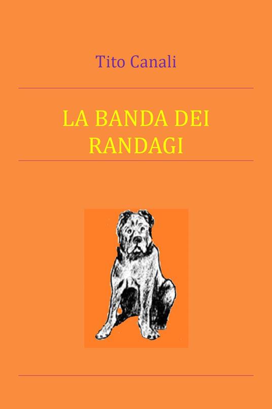 La banda dei randagi - Tito Canali - copertina