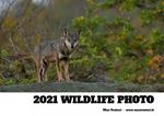 2021 wildlife photo