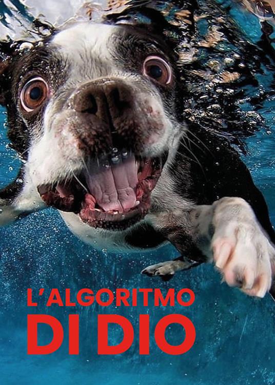 L' algoritmo di Dio - Silvio Fauchè - copertina