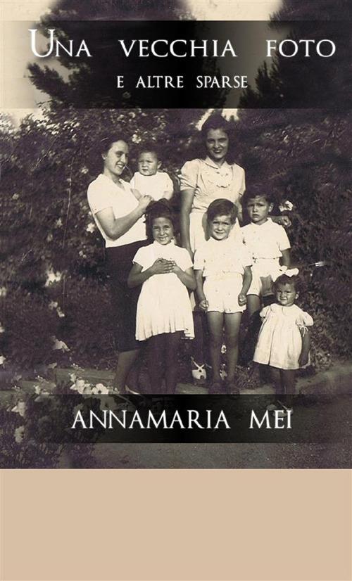 Una vecchia foto. E altre sparse - Annamaria Mei - copertina