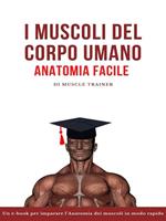 I muscoli del corpo umano