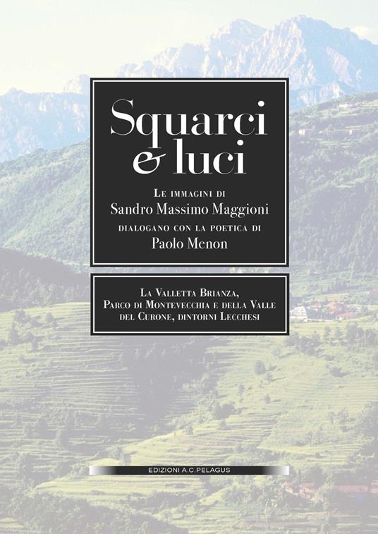 Squarci e voci. Immagini di Sandro Massimo Maggioni dialogano con la poetica di Paolo Menon - Sandro Massimo Maggioni,Paolo Menon - copertina