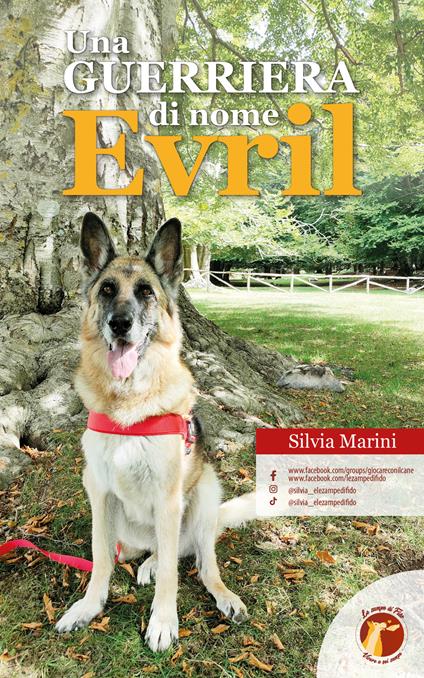 Una guerriera di nome Evril - Silvia Marini - copertina