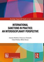 International sanctions in practice: an interdisciplinary perspective