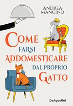 Come farsi addomesticare dal proprio gatto