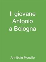 Il giovane Antonio a Bologna