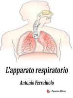 L' apparato respiratorio