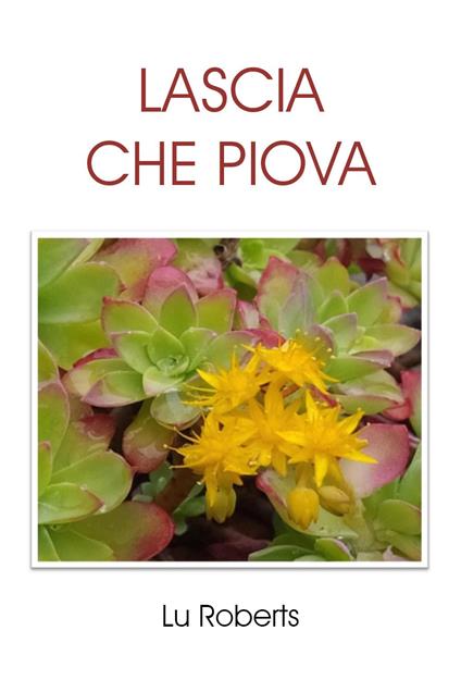 Lascia che piova - Lu Roberts - copertina