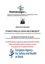 Costi della non sicurezza. Il bilancio annuale e il controllo dei costi e dei benefici della prevenzione