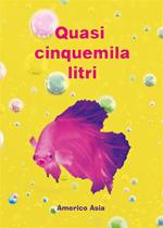 Quasi cinquemila litri