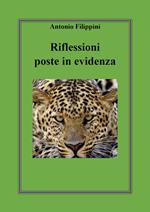 Riflessioni poste in evidenza