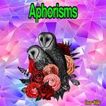 Aphorisms