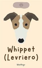 Whippet (Levriero)