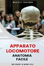 Apparato locomotore. Anatomia facile