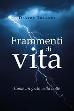 Frammenti di vita. Come un grido nella notte