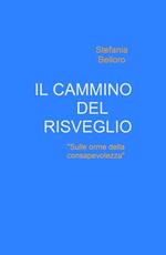 Il cammino del risveglio. Sulle orme della consapevolezza