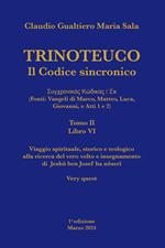 Trinoteuco. Il Codice Sincronico Kodikos Sugkhronikes - Skh (Fonti: Vangeli di Marco, Matteo, Luca, Giovanni, e Atti 1 e 2). Vol. 6/2