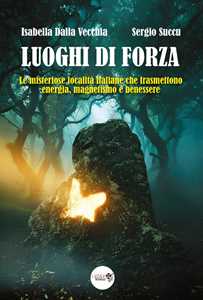 Libro I luoghi di forza. Le misteriose località italiane che trasmettono energia, magnetismo e benessere Isabella Dalla Vecchia Sergio Succu