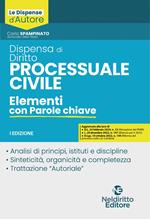 Dispensa di diritto processuale civile. Elementi con parole chiave