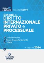 Schemi di diritto internazionale provato e processuale