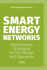 Smart energy networks. Optimization strategies for the design and operation