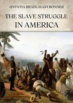 The slave struggle in America