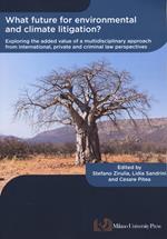 What future for environmental and climate litigation? Exploring the added value of a multidisciplinary approach from international, private and criminal law perspectives