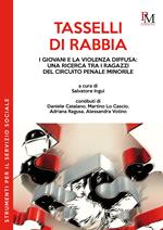 Tasselli di rabbia. I giovani e la violenza diffusa: una ricerca tra i ragazzi del circuito penale minorile