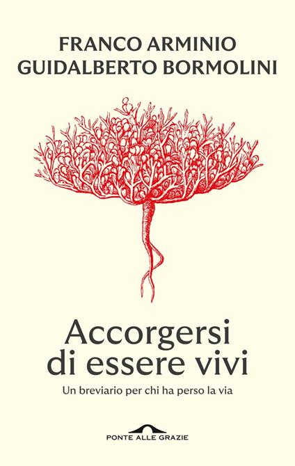 Accorgersi di essere vivi. Un breviario per chi ha perso la via - Franco Arminio,Guidalberto Bormolini - ebook