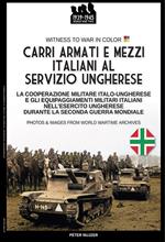 Carri armati e mezzi italiani al servizio ungherese